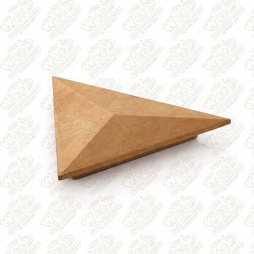R06 (T)